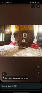 Rura Raya Homestay - Rantepao - 9