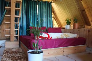 Mysterious Kutla Cottage,Kutla, Tosh - 1