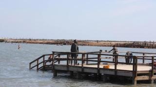 40m2 Cozy DON TOMAS 100m beach - San Pedro del Pinatar - 5
