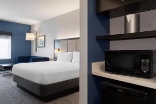 Holiday Inn Express & Suites - Tampa East - Ybor City by IHG - Tampa - 4
