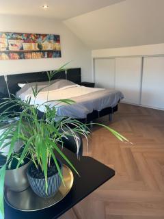 Ruime slaap kamer met werkplek en privé badkamer bij Jacqueline - Leeuwarden - 5