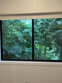 Cute and cosy 1 bedroom cabin - Mooloolah - 4