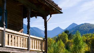 La poale de munte - Vistisoara - 0