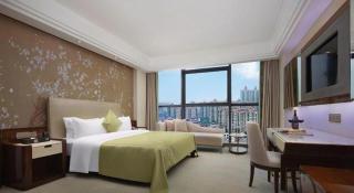 Yongzhou Chuang Fa Cheng XiaoXiangYi Hotel - Guzhuting - 9