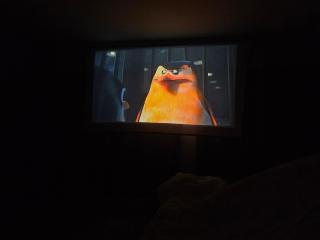 Loft Cinema Alfredo Mochileando - Tamiahua - 7