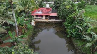 BIKI'S PALM VILLA - Kaduturutti - 8