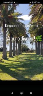 Entre Palmeras y Lavandas - 7