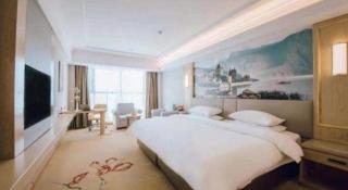 Vienna Hotel Shandong Linyi Mengyin - Mengyin - 9