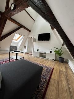 Stylish 2BR &1LR Apt, Prime Belgian Location - Gand - 1