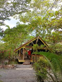 Magpie homestay & jungle trekking especially for guest trekking with us - 9