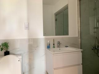 Embassy Gardens VVIP - 9