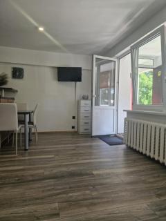 Duplex Apartment Vilte - Druskininkai - 2