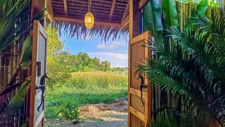 Zen Treehouse - General Luna - 2