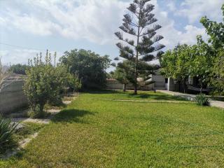 Skyrosfamilyhouses-Pelasgia - Skyros - 9