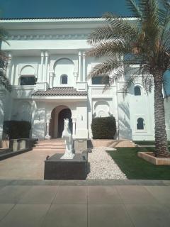 Luxury Palm Villa with direct private beach access - 3