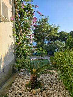 villa Karme S3 - Brela - 5