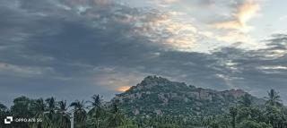 Devi Homestay - 5