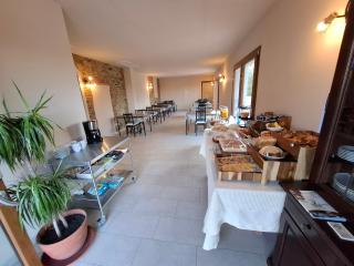 Agriturismo IL VECCHIO OLIVO - 4