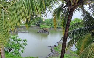Krishna Garden and Resort - - 7