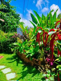 MB Villa - Beruwala - 5