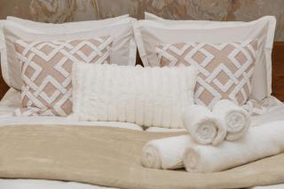 Roman style apartment near city centre - Vienne - 3