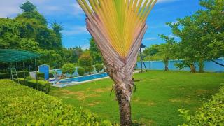 Pattaya Paradise Pool villa with Garden 3BR - Nong Prue - 4