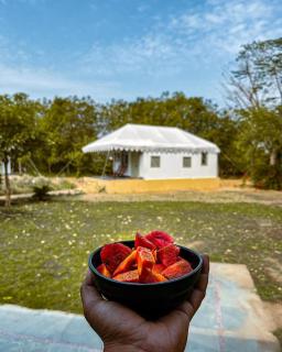 Varawal Leopard Camp - 1
