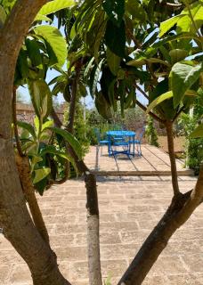 Casa Giardino - Sannicola - 0