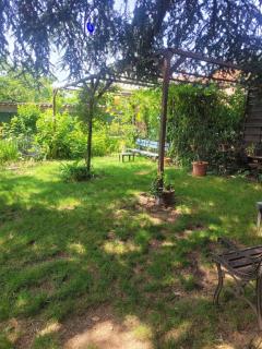 Peaceful haven with garden and pool - Lione - 3