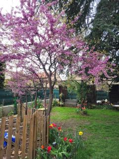 Peaceful haven with garden and pool - Lione - 2