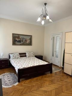 Історичні апартаменти - Chernivtsi - 3