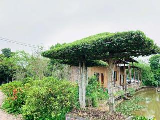 Khu DL ST Cánh Đồng Vàng - Yên Ha - 7