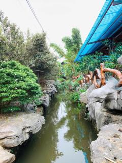 Khu DL ST Cánh Đồng Vàng - Yên Ha - 6