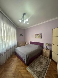 Історичні апартаменти - Chernivtsi - 0