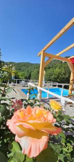 Cabana Cerbu - Bozovici - 6