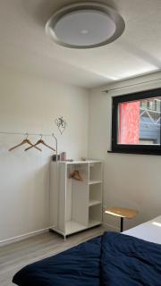 Naturnah und stilvoll 2-Zimmerwohnung mit Klasse - Kappel bei Olten - 3
