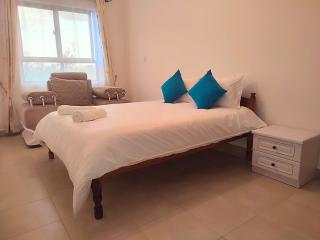 Charming & Serene 2BR Apartment - Nairobi - 4