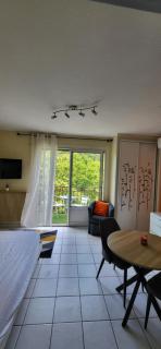 Studio climatisé à 50 m des thermes - 9