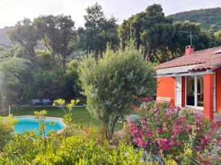 Lou Tavan - Villa Rénovée avec Piscine & Jacuzzi - 4 Chambres - Le Lavandou - 9