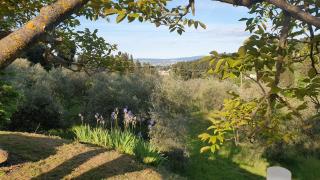 Il Sottolo - Florence - 8