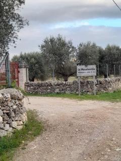 Masseria Le Mesolecchie - Crispiano - 2