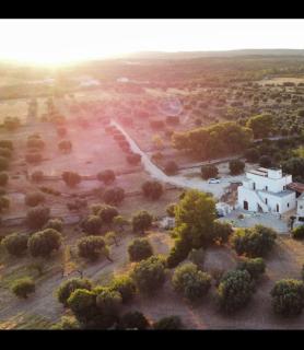 Masseria Le Mesolecchie di Rodio Renato - Crispiano - 0