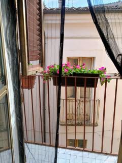 M&C Vicolo corto - 5