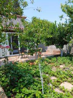 Saint Anna Country House. - Agia Anna - 4