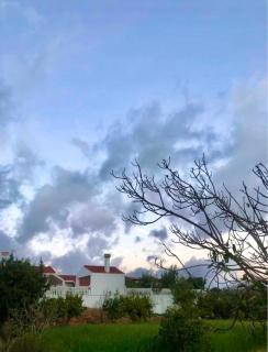 Villa s3 avec piscine - Nabeul - 7