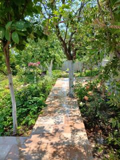 Saint Anna Country House. - Agia Anna - 7