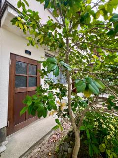 Kumano Casa - Tanabe - 3
