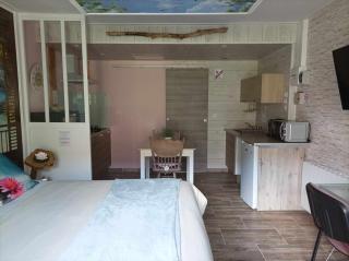 Gite et Studio "L'éclosion des Papillons" à 10 kms de Lens - 2