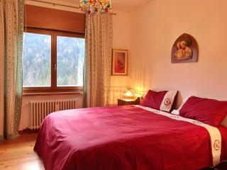 Ciasa Marian 10 minutes from Cortina with free parking! - 8