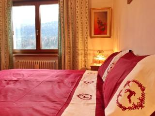Ciasa Marian 10 minutes from Cortina with free parking! - 2